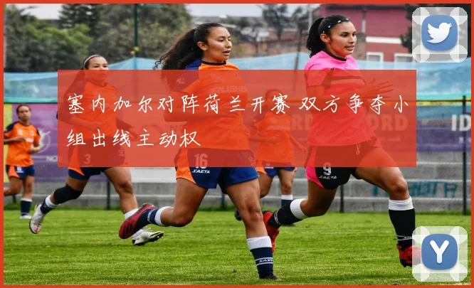 塞内加尔对阵荷兰开赛 双方争夺小组出线主动权