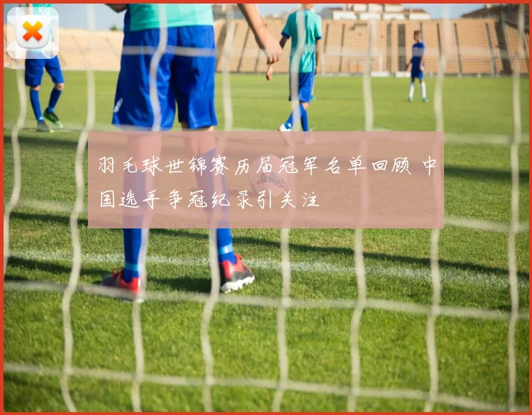 羽毛球世锦赛历届冠军名单回顾 中国选手争冠纪录引关注