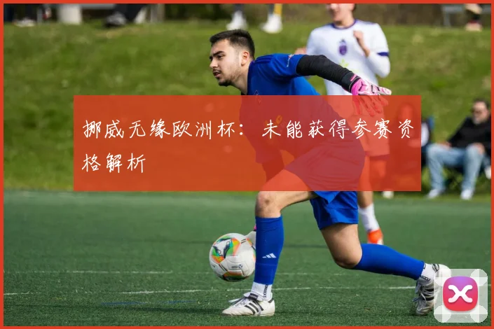 挪威无缘欧洲杯：未能获得参赛资格解析