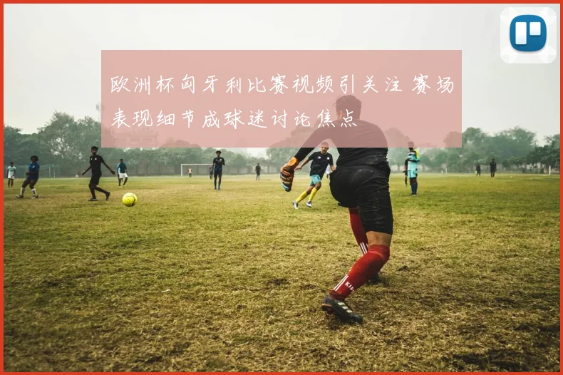 欧洲杯匈牙利比赛视频引关注 赛场表现细节成球迷讨论焦点